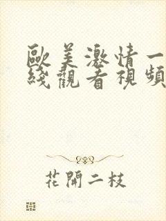 欧美激情一区在线观看视频