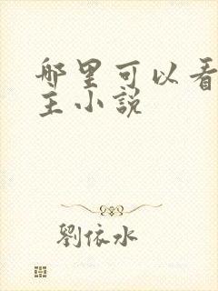 哪里可以看双男主小说
