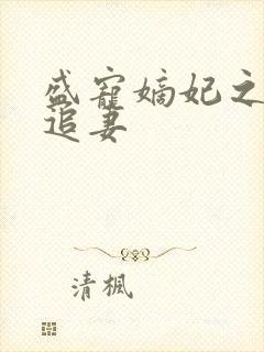 盛宠嫡妃之世子追妻
