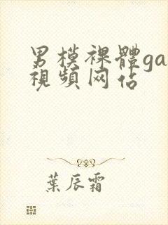 男模裸体gay视频网站封面