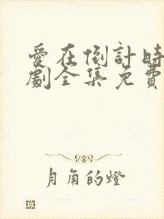 爱在倒计时电视剧全集免费观看