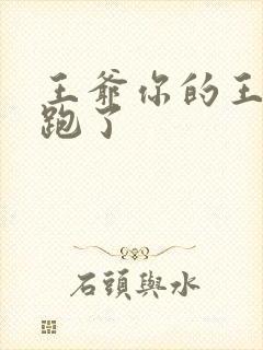 王爷你的王妃又跑了