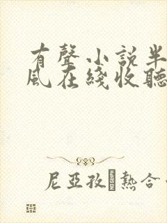 有声小说半夜听风在线收听