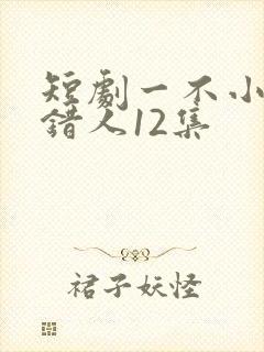 短剧一不小心撩错人12集
