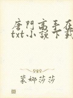唐门高手在异世txt小说下载