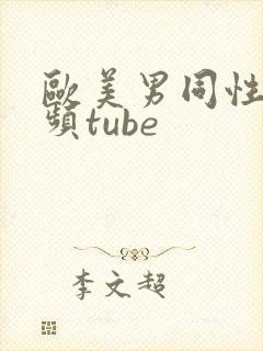 欧美男同性恋视频tube
