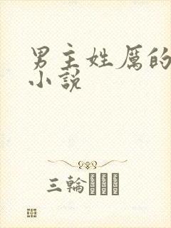 男主姓厉的总裁小说