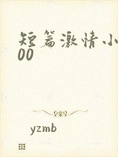 短篇激情小说500封面