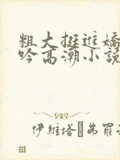 粗大挺进娇喘呻吟高潮小说