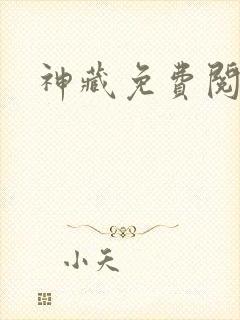 神藏免费阅读