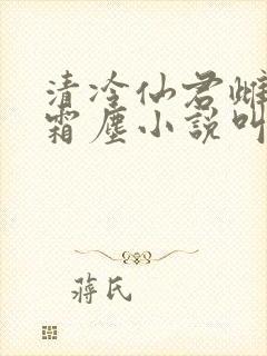清冷仙君雌堕白霜尘小说叫什么名字