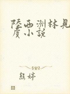 陆西洲林见微白虞小说