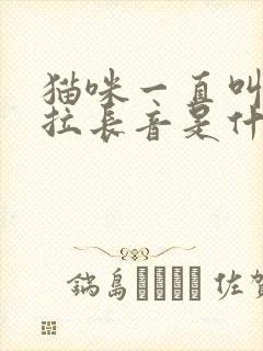 猫咪一直叫喵呜拉长音是什么意思