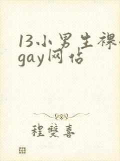 13小男生裸体gay网站封面