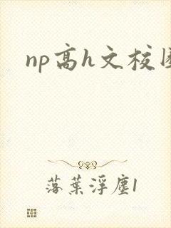 np高h文校园