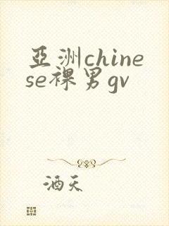 亚洲chinese裸男gv封面