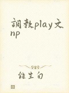 调教play文np