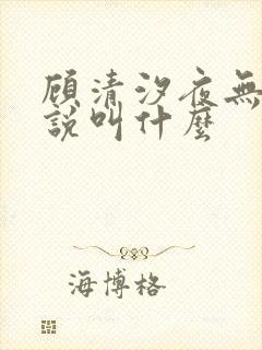 顾清汐夜无尘小说叫什么