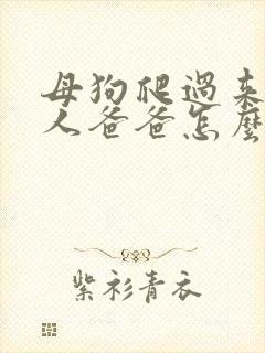 母狗爬过来叫主人爸爸怎么办
