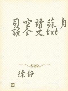 司空靖苏月汐小说全文txt