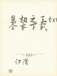 万相之王txt全本下载