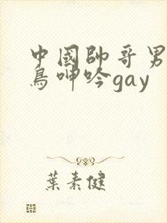 中国帅哥男同大鸟呻吟gay