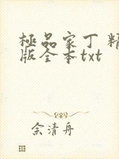 极品家丁 精校版全本txt封面
