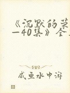 《沉默的荣耀1—40集》全集免费观看