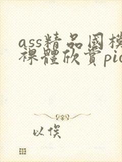 ass精品国模裸体欣赏pics封面