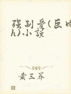 强制爱(巨肉高h)小说
