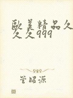 欧美精品久久久久久999
