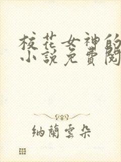 校花女神的堕落小说免费阅读无弹窗封面