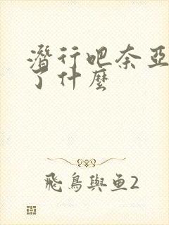 潜行吧奈亚子讲了什么
