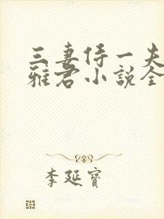 三妻侍一夫柔佳雅君小说全文阅读