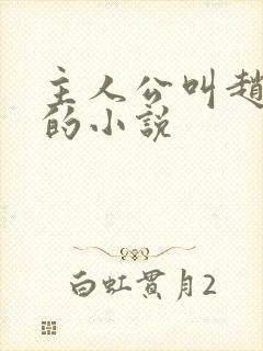 主人公叫赵凤声的小说