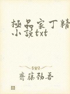 极品家丁精校版小说txt