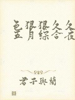 色狠狠久久av五月综合夜夜嗨