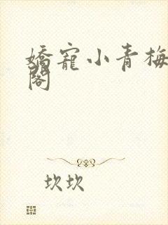 娇宠小青梅笔趣阁