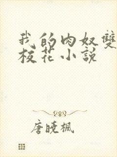 我的肉奴双胞胎校花小说