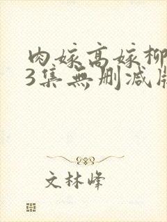肉嫁高嫁柳嫁家3集无删减版