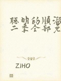 聪明的顺溜 第二季全部免费观看封面
