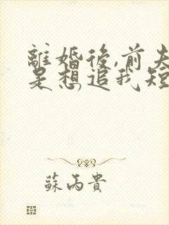 离婚后,前夫总是想追我短剧