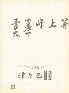 青鸾峰上著无敌天命