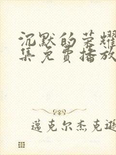 沉默的荣耀32集免费播放