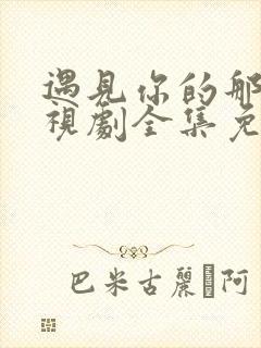 遇见你的那天电视剧全集免费播放