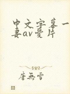 中文字幕一级人妻av爱片