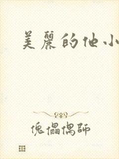 美丽的他小说