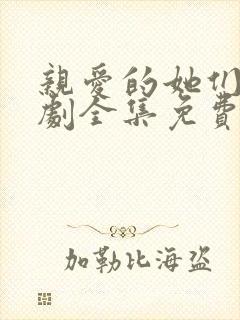 亲爱的她们电视剧全集免费观看高清