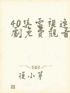 40集电视连续剧免费观看封面