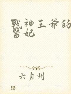 战神王爷的替嫁医妃封面